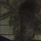 Illustration for article titled Some Official Concept Art From Stranger Things